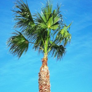 DSCF5720.JPG
