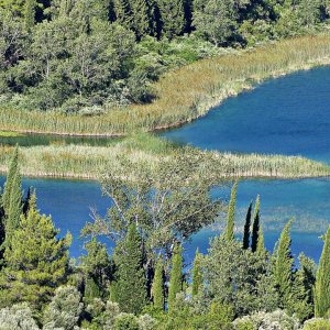 Bacinska Jezero