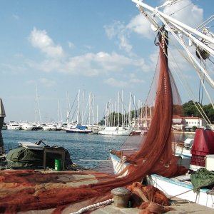 Vrsar Hafen  5.JPG