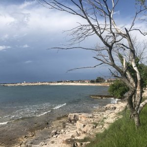 Istrien:UMAG > terra istriana