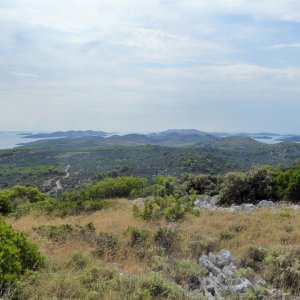 Dalmatien: DUGI OTOK > Anhöhe Krusevac bei Sali