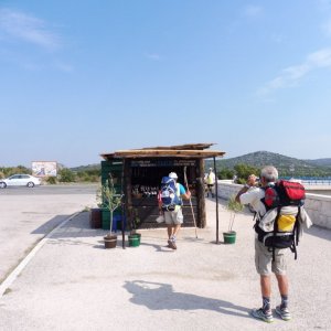 Dalmatien: SIBENIK > Krka Brücke > Wallfahrer