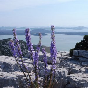 Dalmatien: Vranja > Vransko Jezero > Kamenjak