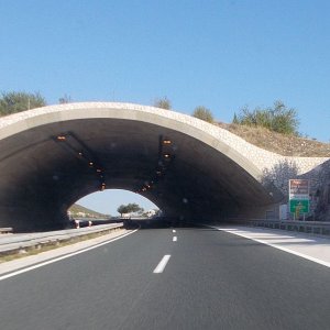 Dalmatien > Zeleni Most (Wildtierbrücke) auf der A1