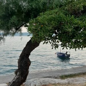 Dalmatien: KASTELA LUKSIC > Einsames Boot