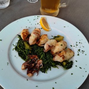 Calamari Rimini