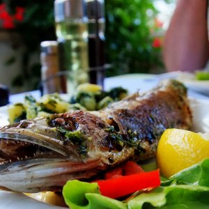 Istrien: Fischgericht > Oslic