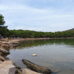 Telascica (2).JPG