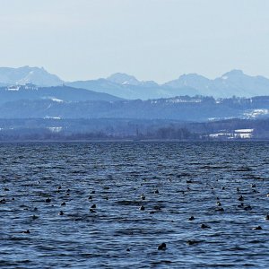 P1350785.JPG