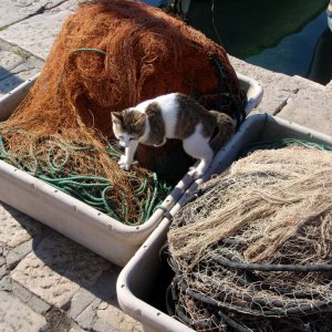 Kvarner: BASKA > Fischernetze am Kai