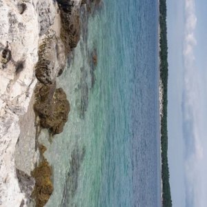 Insel