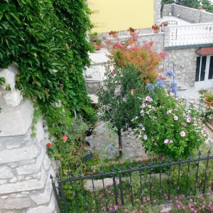 Kvarner: VRBNIK> Krk> Garten