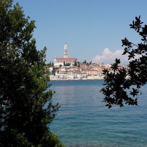 Istrien: ROVINJ > Blick von der Hotelinsel auf Rovinj