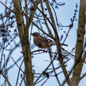 batch_IMG_4814-Bearbeitet.jpg