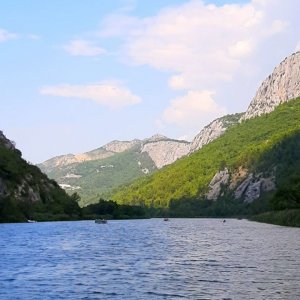 Cetina