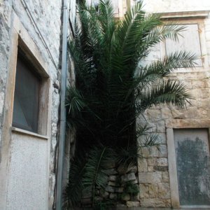 DSCF6745.JPG