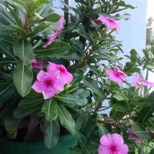 DSCF6787.JPG