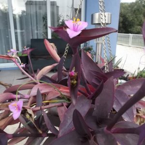 DSCF6789.JPG