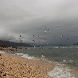 DSCF6884.JPG