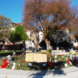 DSCF6900.JPG
