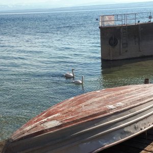 Meersburg Seepromenade (7).jpg