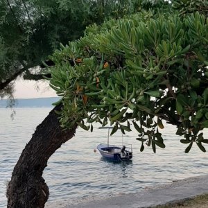 Dalmatien: KASTELLA > Holzboot
