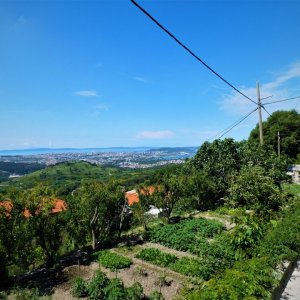 Dalmatien: Split> Klis> Garten mit Ausblick