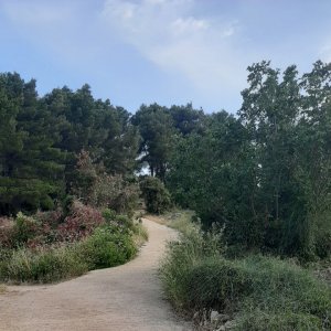 Weg zum Weißen Kreuz oberhalb von Stari Grad