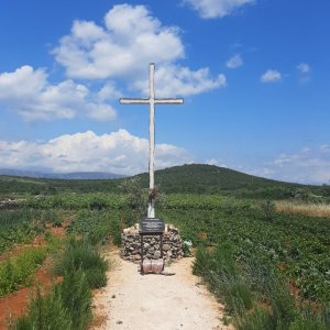 Agerfeld bei Stari Grad