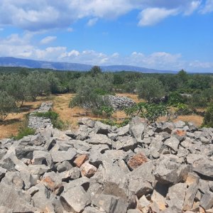 Agerfeld bei Stari Grad