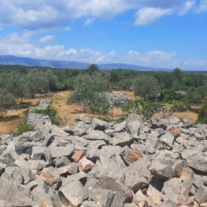 Agerfeld bei Stari Grad