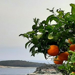 Blick vom Weg zur Spanischen Festung Hvar