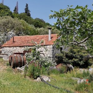Dubrovnik: Bacinska Jesera> Steinhäuschen im Garten
