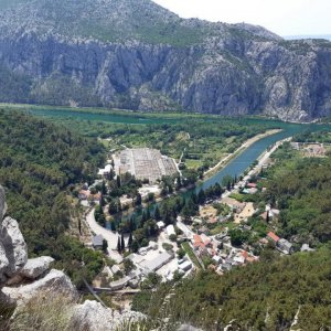 64_Omis.jpg