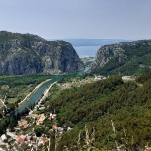 65_Omis.jpg