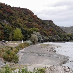 Bacharach Ufer Rhein.jpg