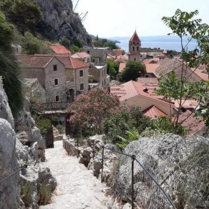 49_Omis.jpg