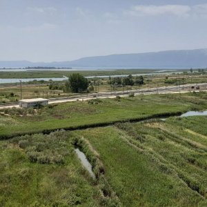 04_Neretva Delta.jpg