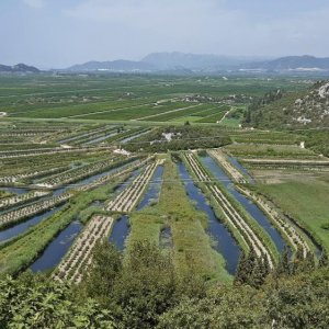 09_Neretva Delta.jpg