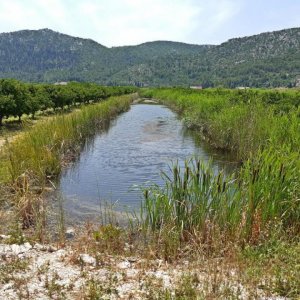 27_Neretva Delta.jpg