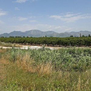 33_Neretva Delta.jpg