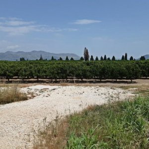 35_Neretva Delta.jpg