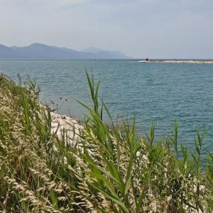 43_Neretva Delta.jpg