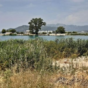 48_Neretva Delta.jpg