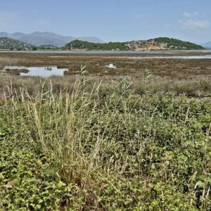 49_Neretva Delta.jpg