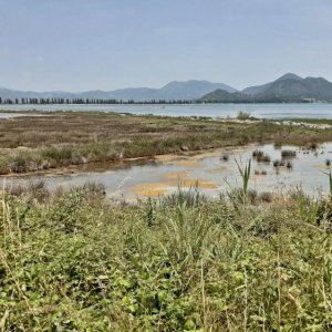 50_Neretva Delta.jpg