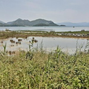 51_Neretva Delta.jpg