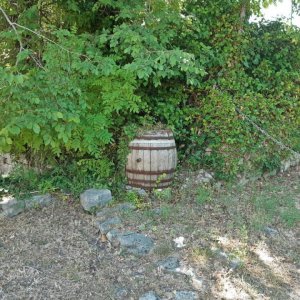 38_Solin Salona.jpg