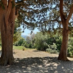 57_Solin Salona.jpg