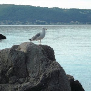 DSCF8258.JPG